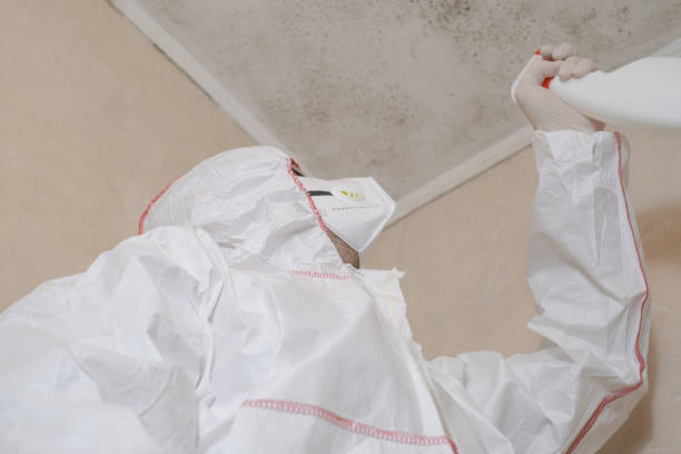 Crawl Space Mold Removal in Sherwood, OH